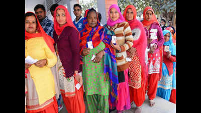 High voter turnouts in two assembly seats in Haryana, Rajasthan