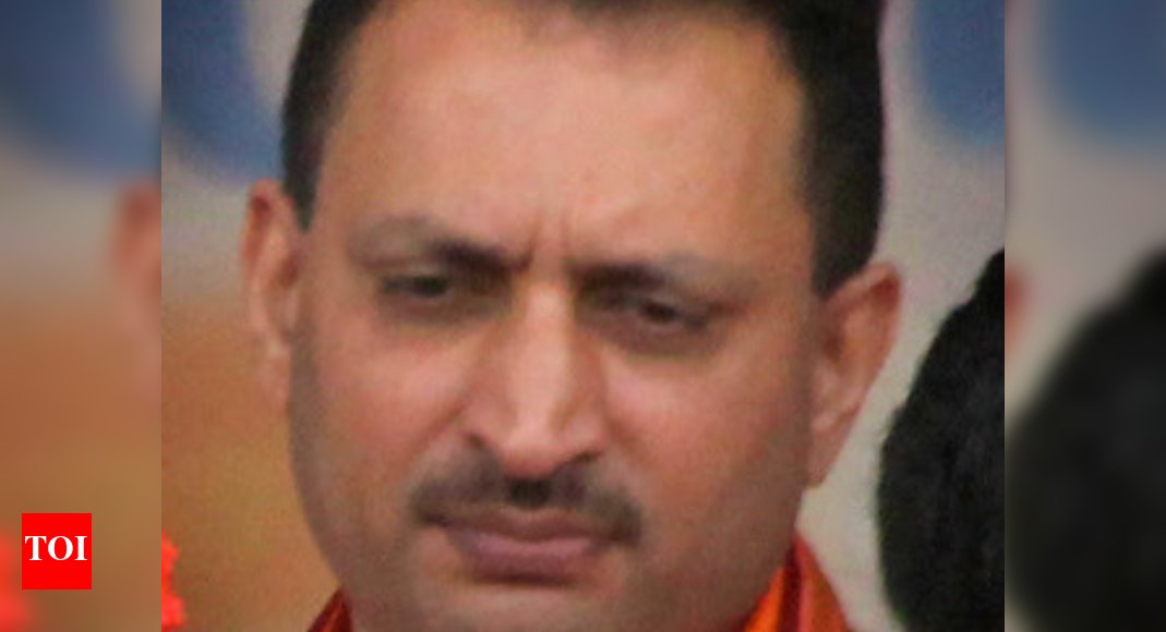 Hegde attacks Congress neta for marrying a Muslim | India News - Times ...