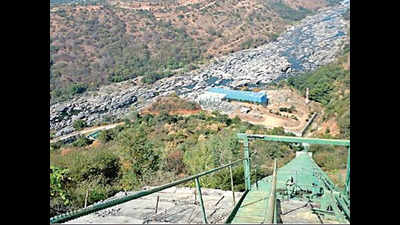 Despite threat to jumbos, forest department goes ahead with mini-hydel project