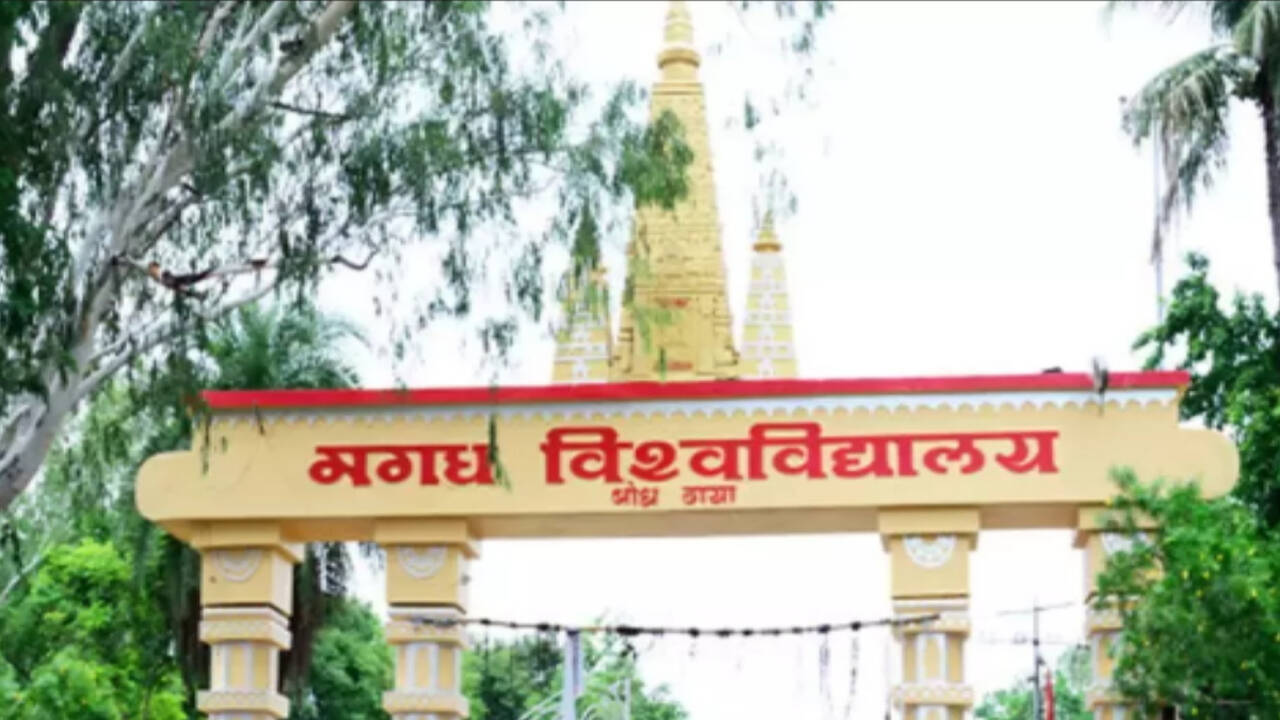 52 PhD dissertations fail plagiarism test in Magadh University | Patna News  - Times of India