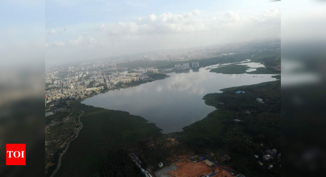 Bellandur Lake will be desilted, deweeded by May 2021: BDA | Bengaluru ...