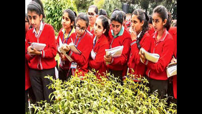 Walk amid the trees for Carmel Convent students
