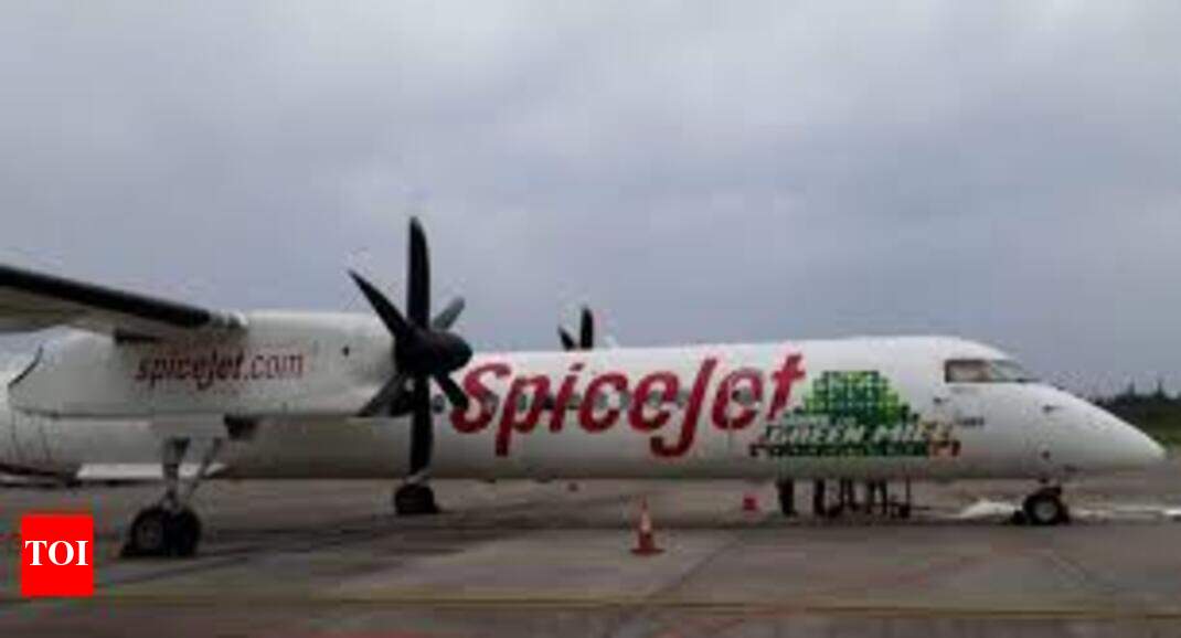 SpiceJet announces new flights, promotional fares Times of India
