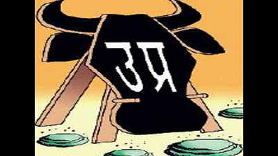 Donate day's salary to feed cow: UP diktat