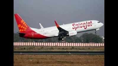 Now, SpiceJet flights from Vijayawada, Tirupati to Bengaluru, Kochi