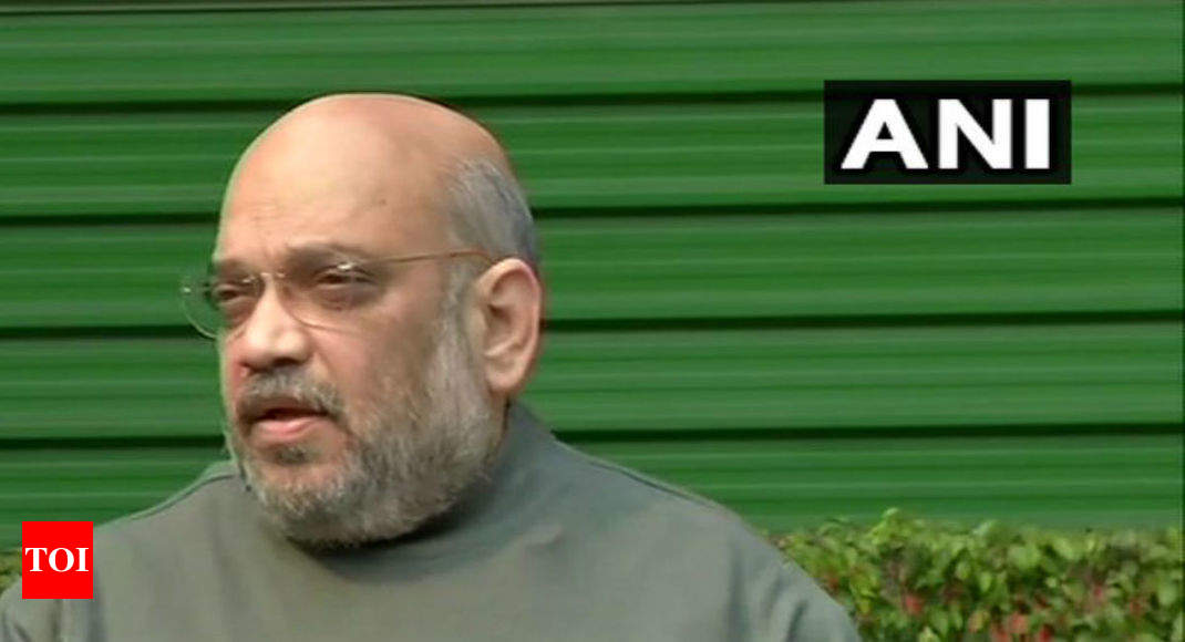 Budget proves Modi govt dedicated to poor, farmers, youths: Amit Shah 