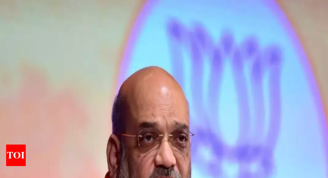 Budget shows govt's dedication to aspirations of poor, youth, farmers: Shah 