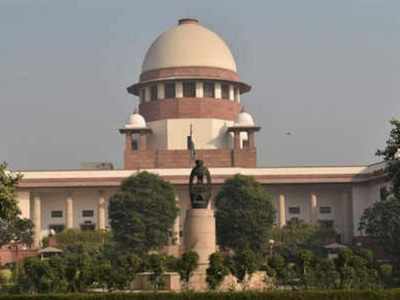 Plea in Supreme Court against interim Budget