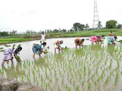 47 lakh Telangana farmers eligible for double dhamaka