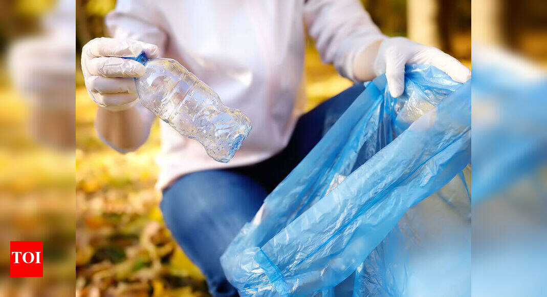 Say No To Plastics How to collect garbage without plastic bin liners