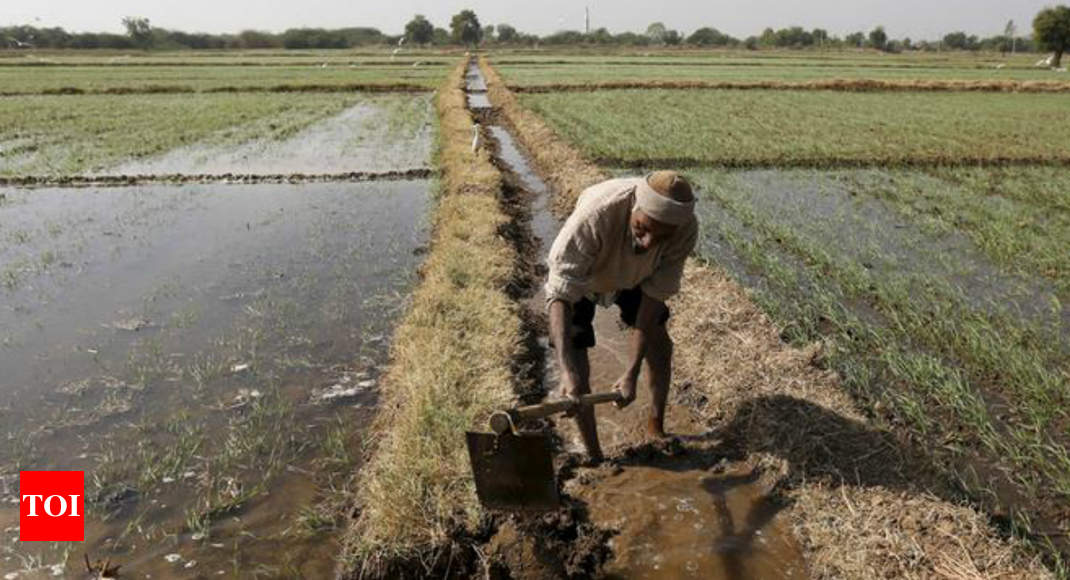 Madhya Pradesh farmers threaten suicide over fake loans 