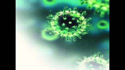 H1N1 claims 14 lives in Himachal Pradesh, 95 in grip