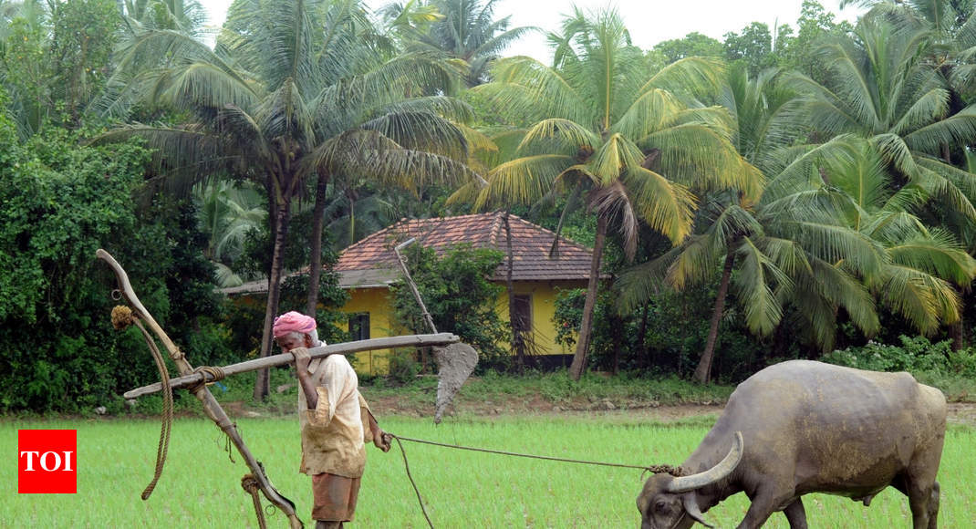 Marginal Farmers In Karnataka: 80 Lakh Karnataka Farmers May Reap ...