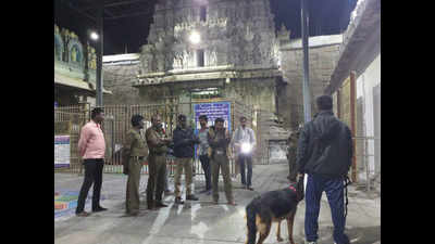 Three crowns go missing from Tirupati's Govindaraja Swamy temple