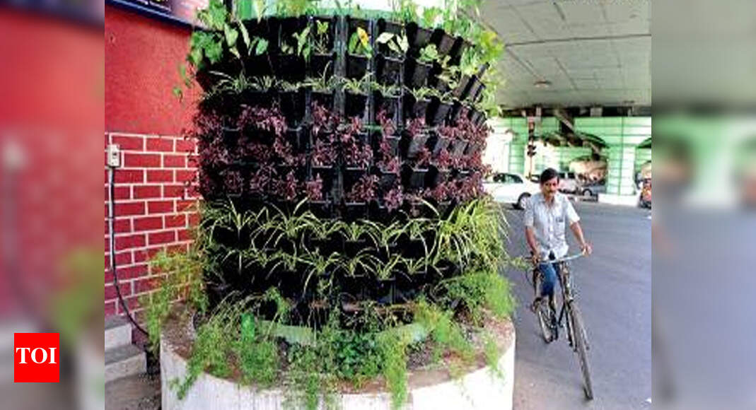 Greater Chennai Corporation turns flyover pillars into vertical gardens