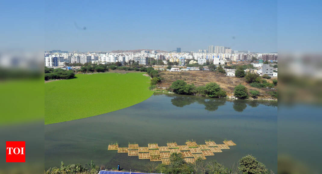 HMDA will check for buffer zone violations near Neknampur lake