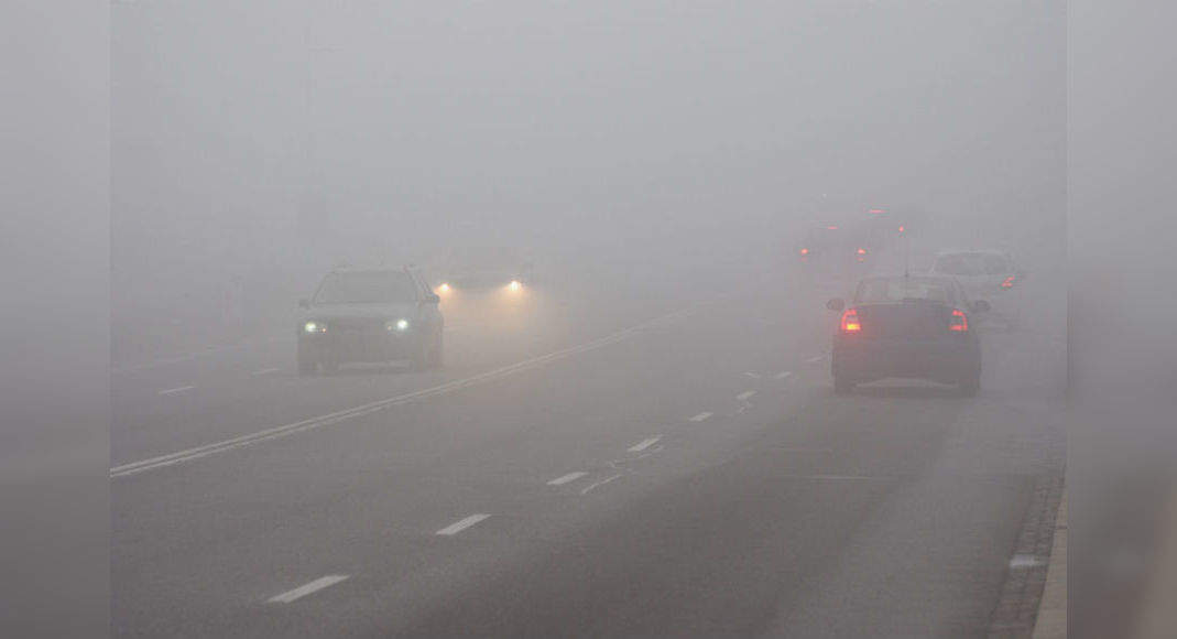 weather-in-delhi-fog-in-delhi-times-of-india-travel