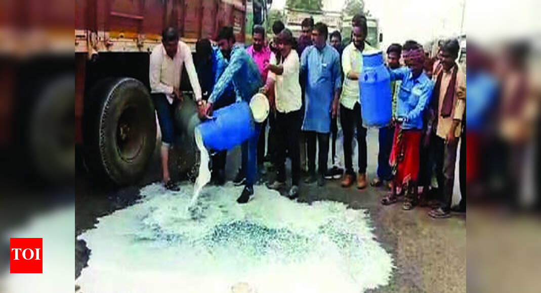 Harij farmers spill milk on road to protest low price | Rajkot News ...
