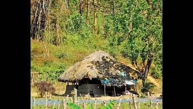Kerala: Govt schemes yet to reach LWE-infested tribal colonies