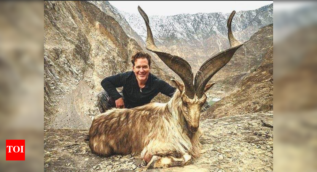 US national pays over $1 lakh to hunt Pak's national animal - Times of India US national pays over $1 lakh to hunt Pak's national animal - Times of India