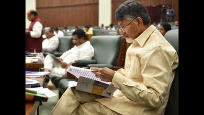 AP budget crosses Rs 2 lakh crore, welfare takes lead with Rs 12,000 crore