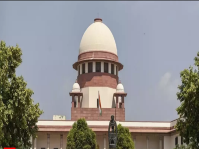 All CAPFs 'organised services' for promotion, service related benefits, holds SC