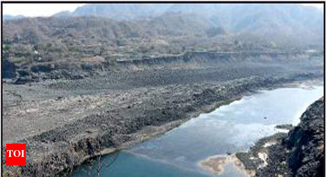 Gujarat government claims decaying matter polluted Narmada
