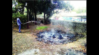 Rampant burning of waste in Satpur division