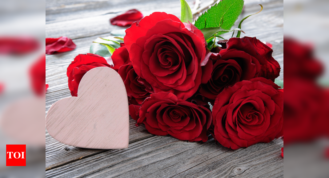 When is Rose Day 2019? Significance and Importance of Rose Day in  Valentine's Week | Rose Day Kab Hai, Rose Day Date | - Times of India
