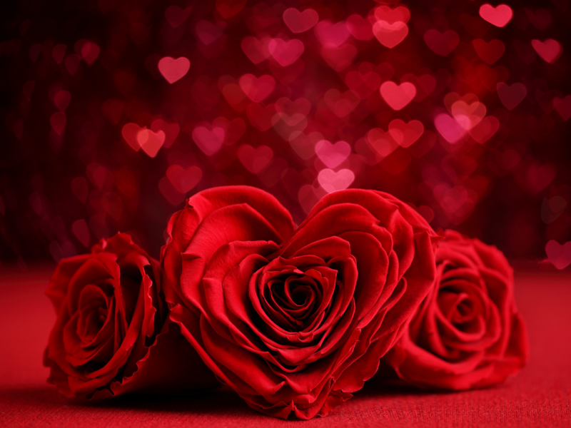 Nikki valentine rose