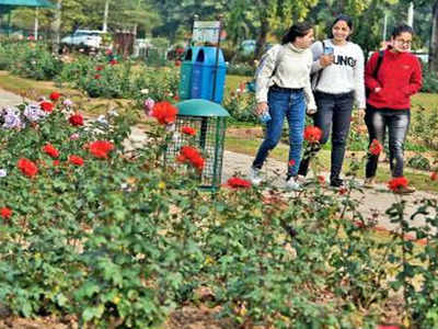 Paintings and music to enthuse crowd at Panjab University Rose Festival