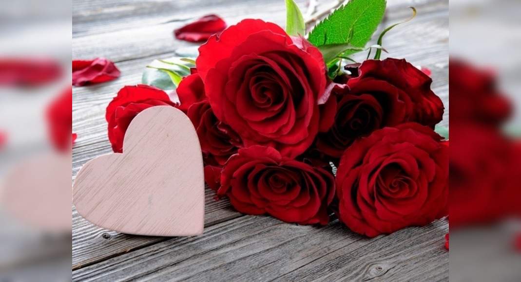 What is Rose Day and the the significance of different coloured roses ...