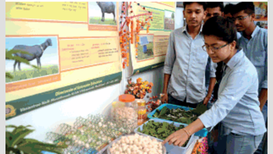 Farmers made the most of agriculture exhibition