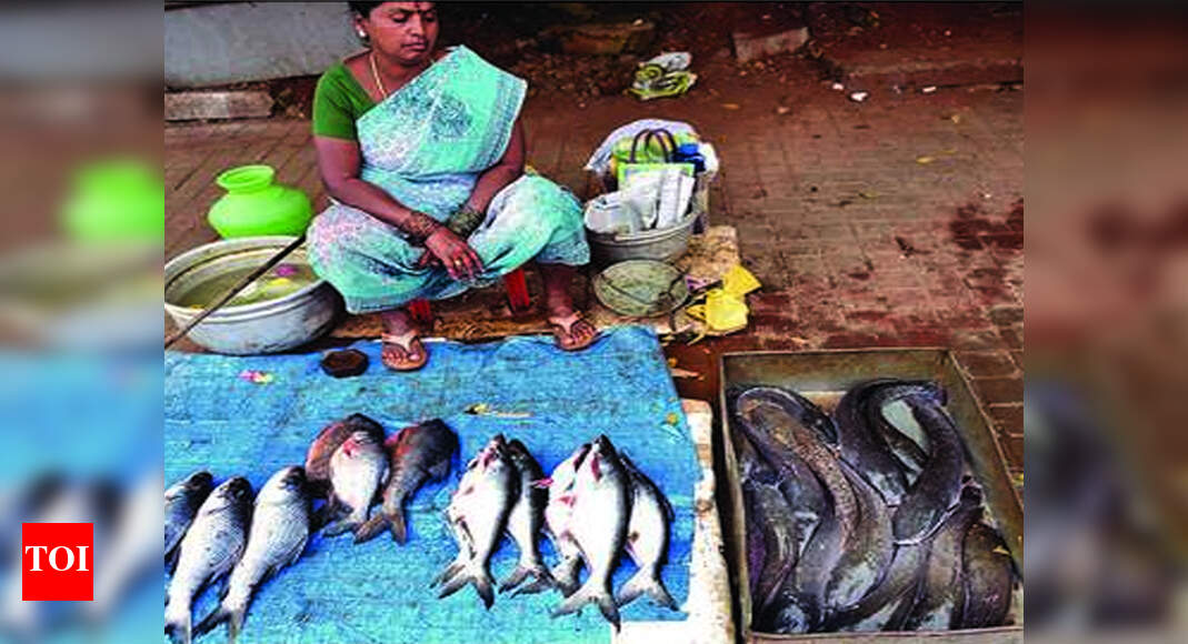 Banned invasive African catfish thrive in Coimbatore lakes, snapped up ...