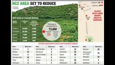 Haryana likely to leave 900 hectares of Aravali foothills out of protected area