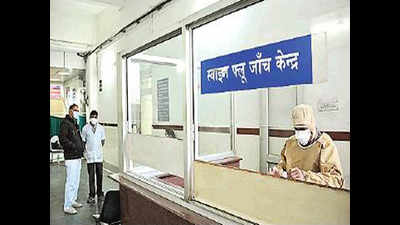 Swine flu claims four more in state, toll reaches 100