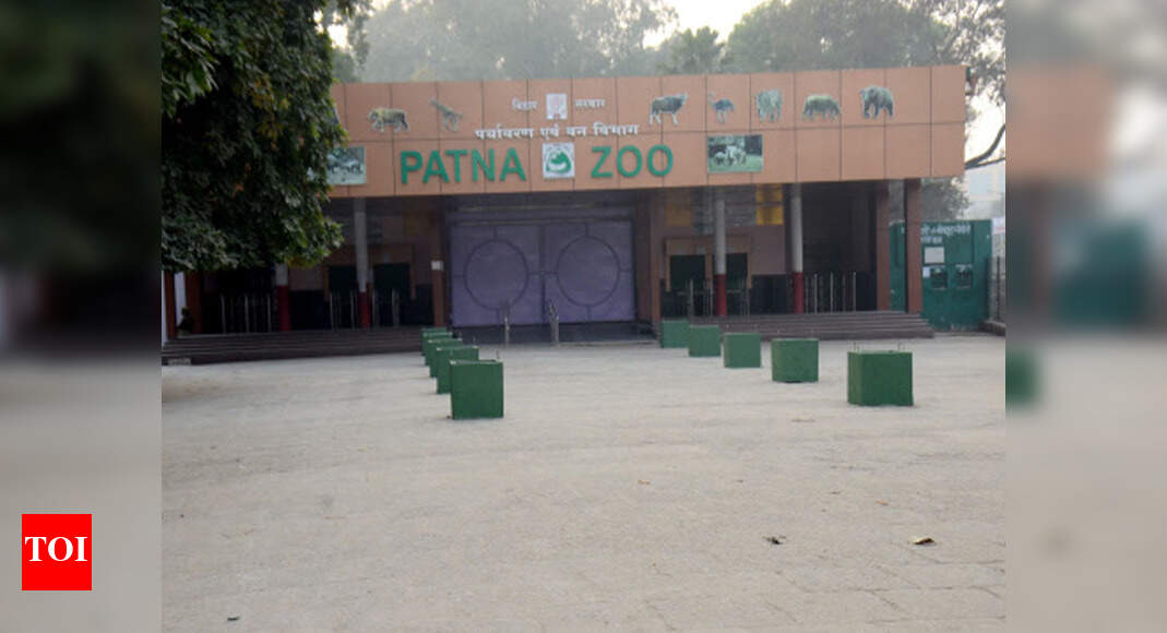 No decision yet on reopening of Patna zoo Patna News Times of India