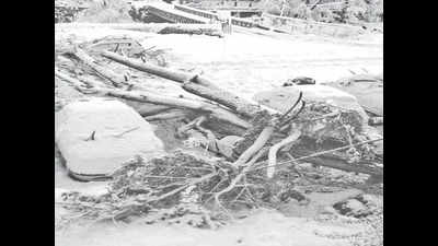 9 buried under avalanches rescued