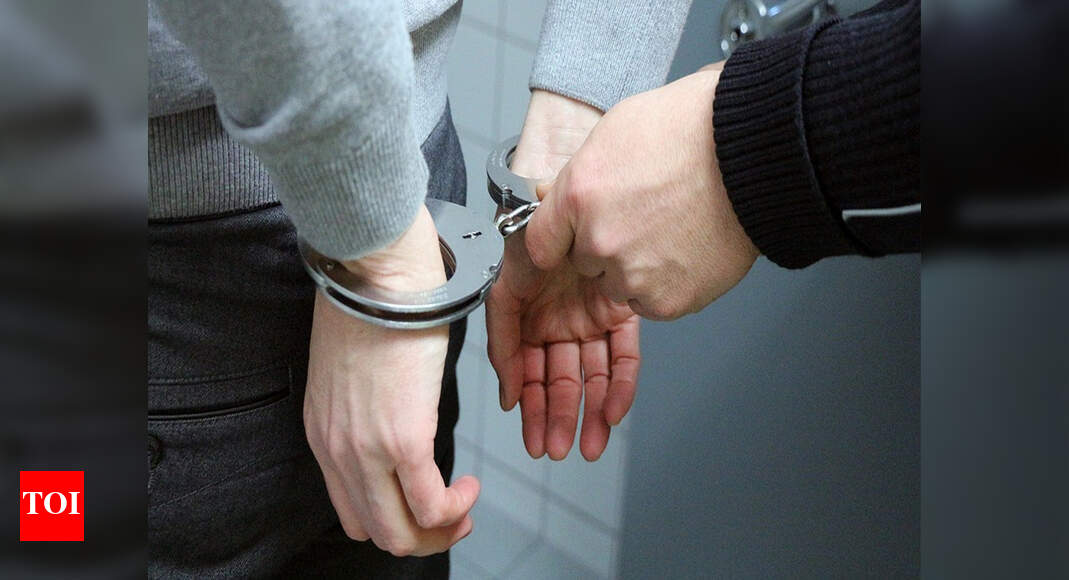 30-year-old man murders wife with axe, held | Jaipur News - Times of India