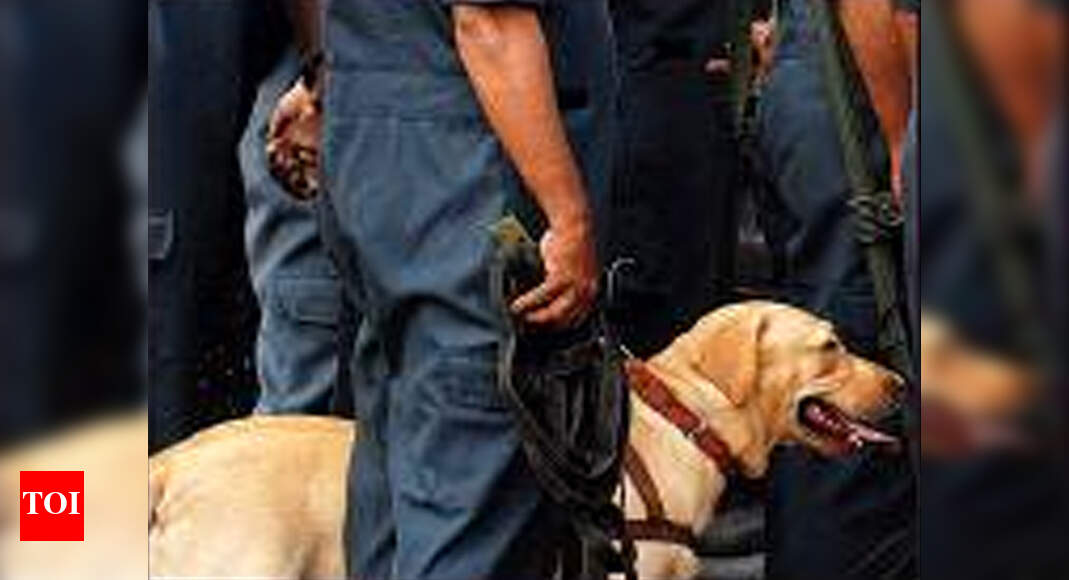 Heightened war against crime, drugs in Goa will finally be ‘paw’sible ...