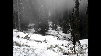 Cold wave conditions return to Kashmir Valley