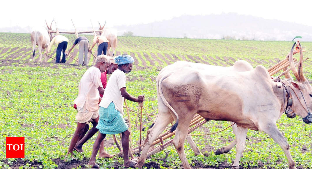 For Agriculture Sector In Karnataka Budget: Karnataka Budget: Big Boost ...