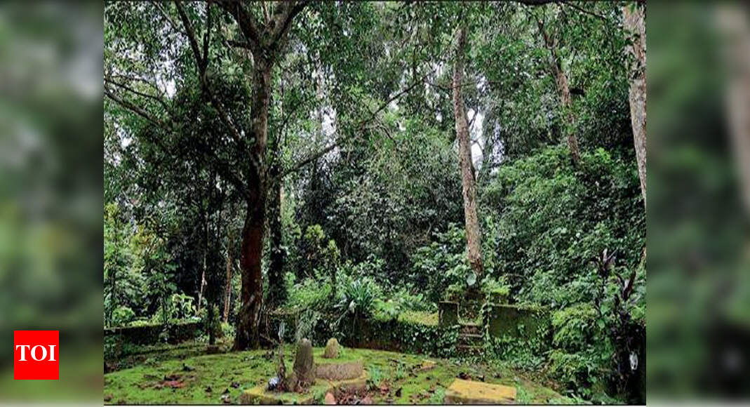 Rapid urbanisation, change in style of worship threaten ‘devara kaadus ...