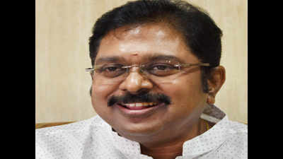 TTV Dhinakaran travels across Tamil Nadu to meet voters
