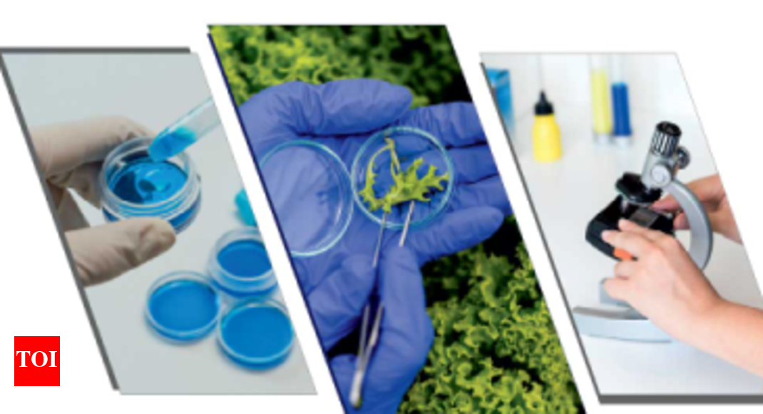 Bennett University to organise national seminar on 'Green Biotech' on February 14