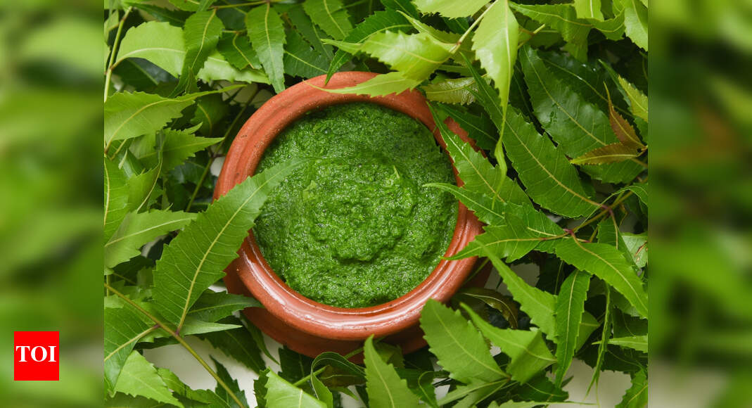 Neem Cure Cancer Can neem help prevent cancer? Neem Leaves for