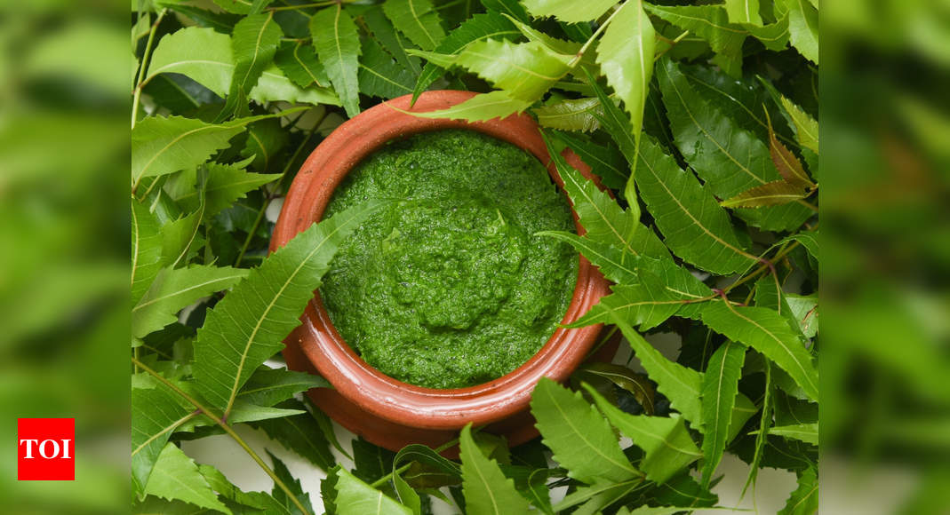 Cancer: Can neem help prevent Neem Leaves for Cancer Treatment