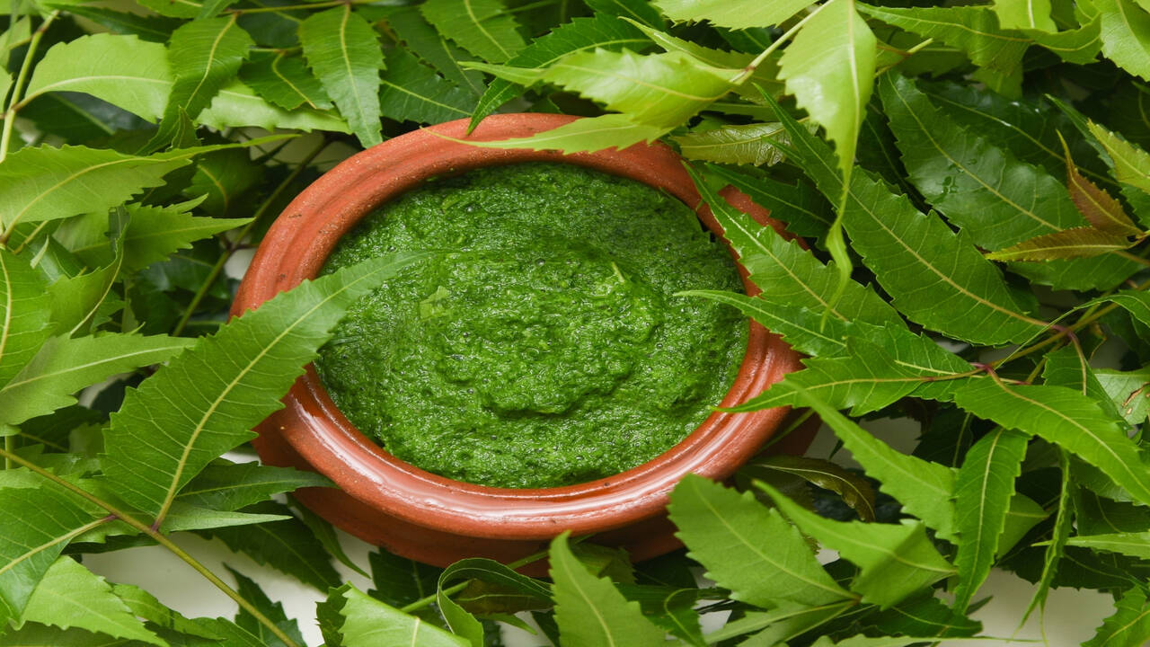 Neem Cure Cancer Can neem help prevent cancer? Neem Leaves for