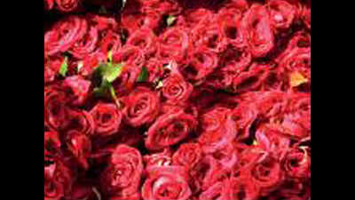 A million red roses from Kolhapur sent across the world