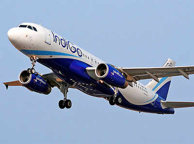 IndiGo cancels 30 flights due to pilot shortage